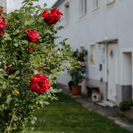 Ferienwohnung Morgensonne Schuetzen am Gebirge Luaran gambar